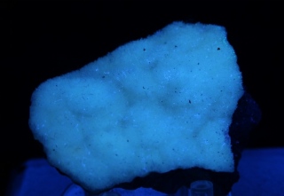 Aragonite - Coli, Trebbia Valley, Italy